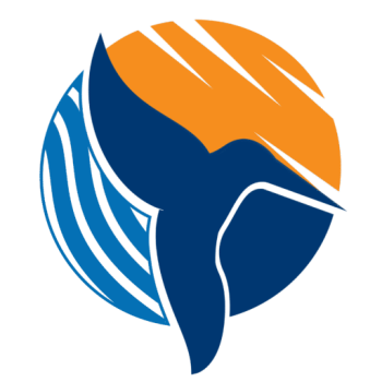 logo Guideline (Hurghada Hub Tours )-03